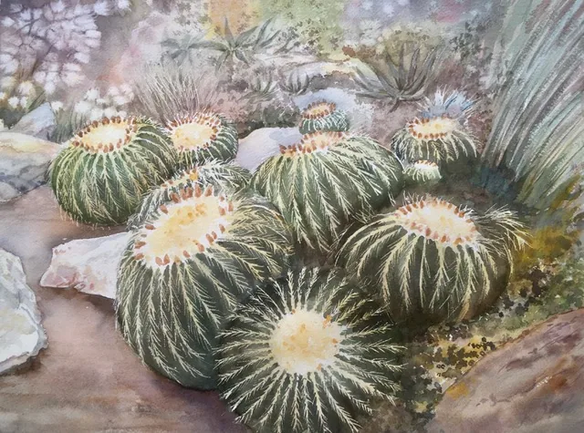 Cactii in Kew Gardens
