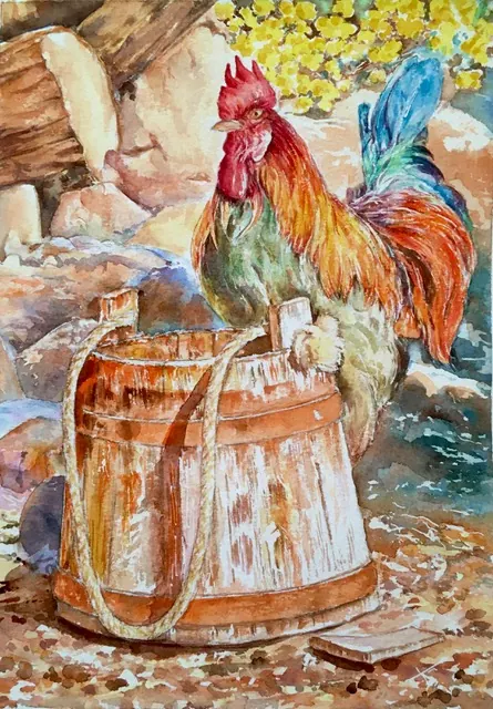 Cockerel
