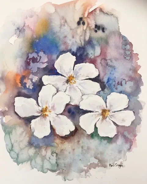 Daisies