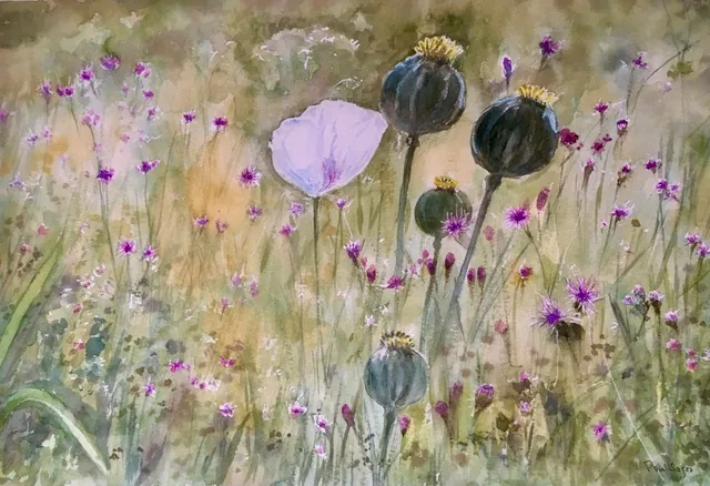 Wild flowers