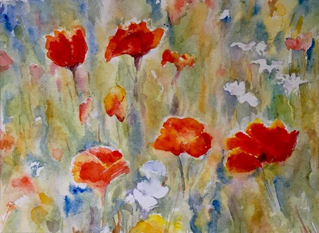 Wild poppies